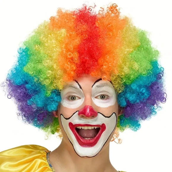Clown Party Wig (New) - Picture 1 of 5